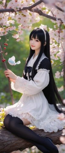 hanako,white blossom,tomoyo,kaguya,hanami,seerose,yukiko,katsura,white petals,japanese doll,jurata,kurohime,kuchiki,cherry petals,guqin,kurumi,warehime,cherry tree,white flower cherry,ikaruga,Art,Artistic Painting,Artistic Painting 22