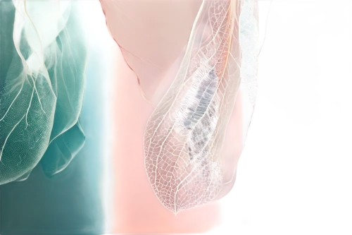 gradient mesh,translucency,fibers,texturing,interlacing,generative,deinterlacing,extruded,volumetric,deformations,render,material test,meshes,extrudes,lymphatic,cinema 4d,renders,fragment,enmeshing,fragments,Unique,Design,Knolling