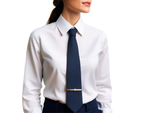 secretarial,stewardess,shirting,shirtdresses,businesswoman,collars,woman in menswear,a uniform,business woman,menswear for women,business girl,secretaria,necktie,blouse,women's clothing,whitecoat,attendant,forewoman,shirtdress,corpo,Art,Classical Oil Painting,Classical Oil Painting 07