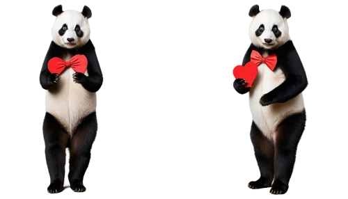 tuxedo just,pandas,tuxedo,animals play dress-up,chinese panda,suit of spades,anthropomorphized animals,lun,panda,cangaroo,formal wear,french tian,madagascar,pandero jarocho,panda bear,waiter,men's suit,circus animal,suit actor,formal attire,Conceptual Art,Daily,Daily 14