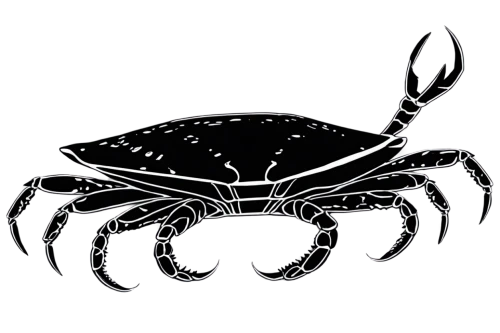 black crab,crab 1,webcrawler,crab 2,zebraspinne,ixodes,square crab,crab,chitinous,octopus vector graphic,headcrab,amphipod,scorpio,ten-footed crab,tarantula,crustacean,funnel web spider,chelicerae,fiddler crab,clausiliidae,Conceptual Art,Sci-Fi,Sci-Fi 11