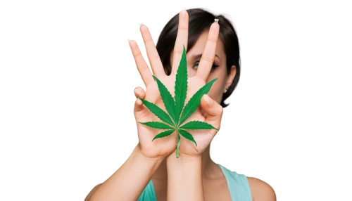 huana,cannabidio,legalize,maryjane,sativa,kreayshawn,weed,palm reading,legalization,cannabinol,marihuana,marijana,ganja,palm of the hand,marijuiana,endocannabinoid,hemp,juana,hand sign,pokok,Conceptual Art,Sci-Fi,Sci-Fi 29