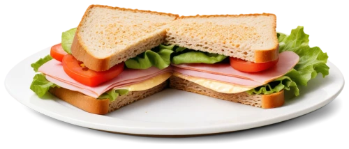 club sandwich,blts,sandwiches,sandwicensis,sarny,sandwicense,a sandwich,blt,yesawich,mowich,cblt,wichter,sandwich cake,panino,reubens,tea sandwich,coldcut,bentwich,panderers,egg sandwich,Illustration,Retro,Retro 03
