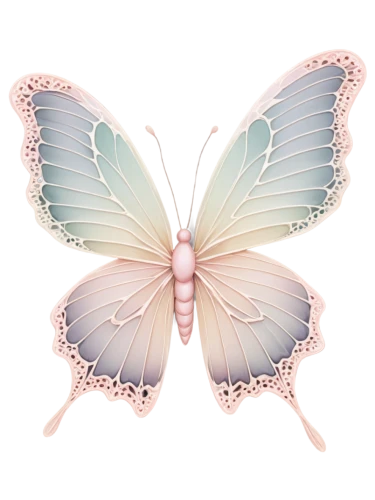 butterfly clip art,butterfly vector,blue butterfly background,pink butterfly,hesperia (butterfly),cupido (butterfly),ulysses butterfly,vanessa (butterfly),butterfly background,limenitis,papillon,chloris chloris,melanargia,butterfly white,promethea silkmoth,flutter,janome butterfly,callophrys,butterflay,lepidopterist,Illustration,Black and White,Black and White 11