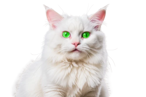 turkish angora,cat vector,turkish van,white cat,patrol,heterochromia,cat's eyes,laser pointer,cat image,breed cat,mow,green eyes,aaa,birman,cat with blue eyes,cat,blue eyes cat,domestic long-haired cat,cats angora,nvidia,Illustration,Realistic Fantasy,Realistic Fantasy 47