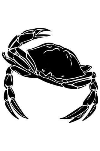 black crab,crab 1,crab 2,spiralfrog,sapidus,lotus png,amphipod,crab,bot icon,mouse silhouette,merkava,ten-footed crab,headcrab,square crab,car outline,scarab,lab mouse icon,fiddler crab,cnidus,terrapin,Illustration,Black and White,Black and White 02