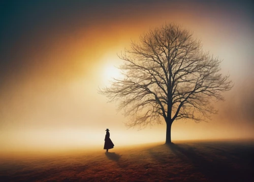 girl with tree,love in the mist,autumn fog,lone tree,isolated tree,foggy landscape,solitude,dense fog,loneliness,veil fog,the girl next to the tree,tree thoughtless,ground fog,fog banks,solitary,mist,morning mist,fog,guiding light,high fog,Conceptual Art,Oil color,Oil Color 24