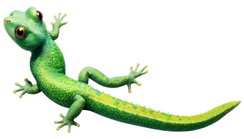 emerald lizard,green lizard,basiliscus,patrol,gex,agamid,lagarto,day gecko,basilisks,chameleonlike,phelsuma,green crested lizard,gecko,pasquel,maguana,gekko,chamaeleon,aaaa,greenie,eastern water dragon,Conceptual Art,Oil color,Oil Color 05