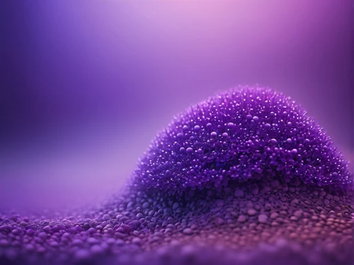biofilm,microparticles,wavelength,nanoparticle,cinema 4d,nanoparticles,wall,microphotography,microspheres,spherules,purple wallpaper,granules,granular,purpura,emulsions,purpleabstract,liposome,cellular,volumetric,anthill,Photography,Documentary Photography,Documentary Photography 36
