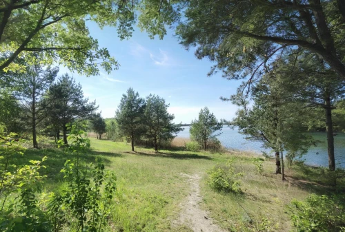 pineview,reschensee,waldersee,lake forggensee,lake neuchâtel,caumasee,photosphere,aiguebelette,lake biel,sognsvann,schaalsee,starnberger lake,walchensee,hiking path,nature reserve,lake hallwil,antorno lake,untersee,berget,greifensee