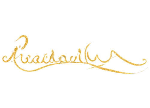 cursive,neon sign,light sign,lemon background,sparkler writing,eudaimonia,goldwire,lightscribe,signature,goldkette,yellow background,goldfine,louisiade,bananafish,erasable,wanderflake,pulchritude,incandescent,lettering,roquelaure,Illustration,Black and White,Black and White 23