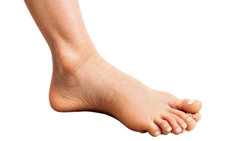 foot model,foot,foot reflex,toe,foot reflexology,neuroma,dorsiflexion,foot reflex zones,the foot,hindfeet,reflex foot sigmoid,sclerotherapy,mirifica,podiatry,tibialis,supination,hindfoot,lymphedema,podiatrists,forefeet,Art,Classical Oil Painting,Classical Oil Painting 24
