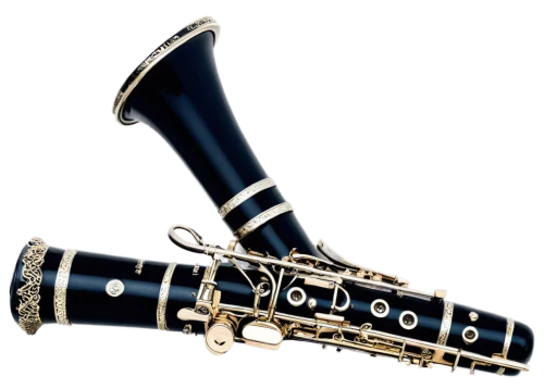 woodwind instrument accessory,clarinet,woodwind instrument,baritone saxophone,bass oboe,tenor saxophone,trumpet folyondár,cor anglais,instrument trumpet,wind instrument,uilleann pipes,western concert flute,oboe,double reed,saxhorn,vienna horn,clarinetist,american climbing trumpet,musical instrument accessory,wind instruments,Illustration,Realistic Fantasy,Realistic Fantasy 12