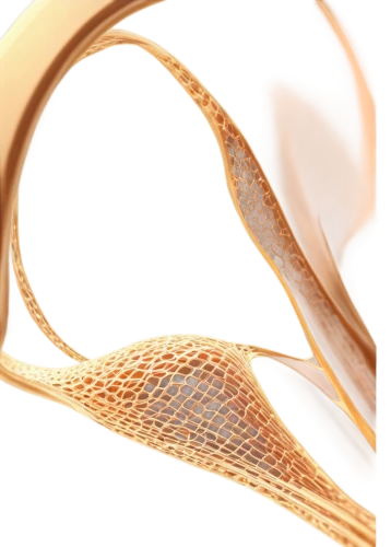 auricle,abstract gold embossed,brachytherapy,stents,curved ribbon,cinema 4d,spermatogenesis,nanotubes,spermatogonia,ercp,roundworms,dna helix,helix,wheat ear,flagellar,ovule,neurulation,stenting,nurbs,nanotube,Illustration,American Style,American Style 03