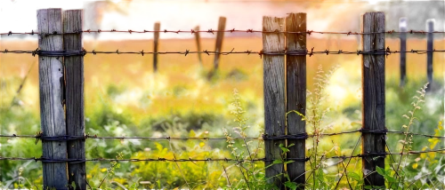 pasture fence,fenceline,fence,fence posts,fences,fenceposts,the fence,garden fence,fence gate,fenced,wooden fence,chain fence,unfenced,wire fence,fence element,prison fence,wood fence,wicker fence,white picket fence,electric fence,Illustration,Vector,Vector 07