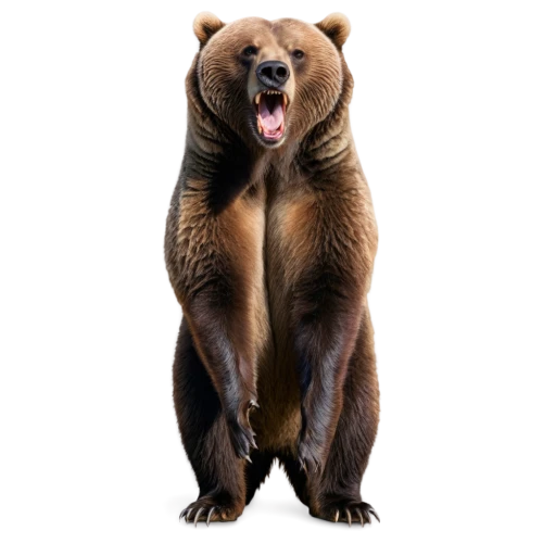 brown bear,bearlike,european brown bear,bear,bearish,scandia bear,bearup,bearse,great bear,bear kamchatka,grizzly bear,ursine,brown bears,grizzly,bear teddy,cute bear,nordic bear,bearman,bearmanor,ursus,Illustration,Realistic Fantasy,Realistic Fantasy 34