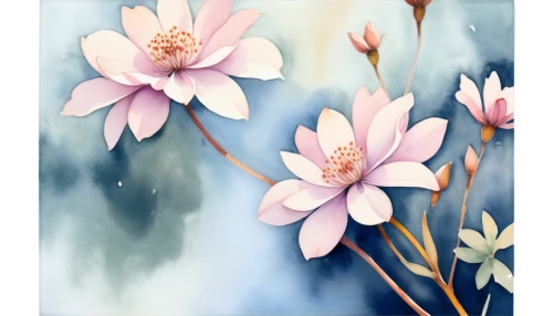 flower painting,japanese floral background,flower background,water lilies,pink water lilies,lotus flowers,waterlilies,paper flower background,watercolor floral background,water lily,white water lilies,floral digital background,waterlily,chrysanthemum background,floral background,blooming lotus,water lotus,water lilly,pond flower,zephyranthes,Conceptual Art,Oil color,Oil Color 08