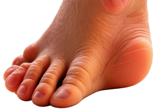 foot reflexology,foot model,reflexology,reflex foot kidney,neuroma,podiatry,reflex foot sigmoid,podiatrists,chiropodist,polyneuropathy,metatarsal,foot reflex,podiatrist,toe,hindfoot,podiatric,foot reflex zones,foot,onychomycosis,navicular,Illustration,Black and White,Black and White 10