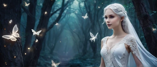 white rose snow queen,faerie,faery,fairy queen,the snow queen,fairie,fairy,faires,white butterflies,fairies,fairytales,little girl fairy,fairy tale character,galadriel,fairy forest,fairies aloft,fantasy picture,fairy tale,fairyland,elvish,Illustration,Vector,Vector 21