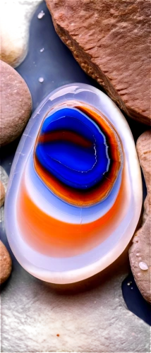 agate,agates,cabochon,agate carnelian,waterdrop,acidification,spinning top,poured,surface tension,a drop of water,chalcedony,waterholes,consomme,abalone,chalcedon,pour,fluid,retina nebula,galaxy soho,danio,Photography,Black and white photography,Black and White Photography 03