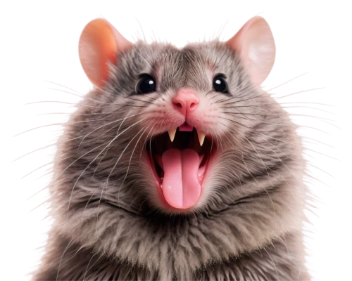 lab mouse icon,rodentia,peromyscus,chinchilla,woodrat,rodentia icons,rat,musical rodent,mousie,ratliffe,tikus,hantavirus,ratwatte,ratsirahonana,color rat,solenodon,rattiszell,ratte,ratto,bettong,Illustration,Realistic Fantasy,Realistic Fantasy 17