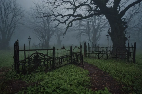 old graveyard,haunted forest,farm gate,graveyard,old cemetery,fence gate,forest cemetery,iron gate,dark park,pasture fence,graveyards,heaven gate,metal gate,burial ground,foggy landscape,hollow way,eerie,the fence,ironwork,foggy forest,Art,Artistic Painting,Artistic Painting 48
