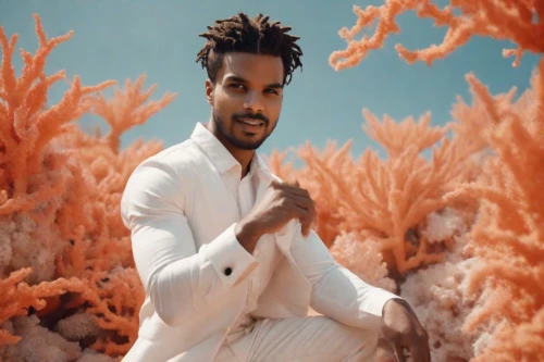 socotra,nuweiba,shanmuganathan,ishmouratova,kalmadi,udwan,eritrean,avinashi,ramayya,benadir,dhananjaya,khalfan,garaad,samatar,berhane,raghava,rajkumar,kakudji,dasari,bharath,Photography,Cinematic