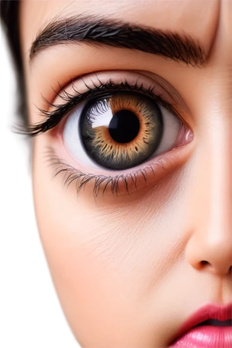 women's eyes,doll's facial features,realdoll,eyes makeup,eyelash extensions,contact lens,eye scan,eyelash curler,eye tracking,eye ball,eyelid,reflex eye and ear,eyeball,eye cancer,pupils,eye liner,eye,ophthalmology,children's eyes,airbrushed,Illustration,Japanese style,Japanese Style 14