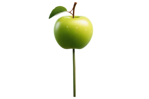 worm apple,jew apple,apple logo,green apple,schisandraceae,bell apple,apple icon,cleanup,core the apple,aaa,bladder cherry,granny smith,apple design,waldmeister,aa,wild apple,pea,water apple,asian pear,half of an apple,Photography,General,Commercial