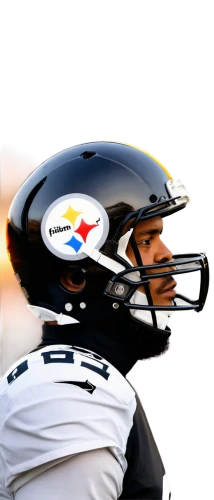 rothlisberger,roethlisberger,polamalu,houshmandzadeh,suisham,steeler,decastro,steelers,farrior,cowher,streater,sparano,todman,tomlin,keisel,bettis,asomugha,delhomme,dungy,football helmet,Photography,General,Fantasy