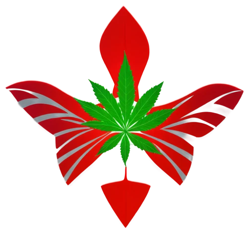 maple leaf red,red maple leaf,cannabidiol,tetrahydrocannabinol,mugwort,lotus png,cannabidio,cannabinol,growth icon,huana,red and green,flowers png,red leaf,palm tree vector,weed,flame flower,dagga,pokok,lotus leaf,agram,Photography,Documentary Photography,Documentary Photography 09