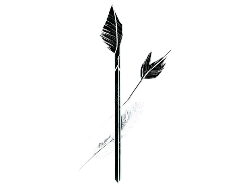 feather bristle grass,feather,feather pen,hawk feather,decorative arrows,tribal arrows,bird feather,palm leaf,black feather,hand draw vector arrows,blade of grass,spearpoint,white feather,scythes,chicken feather,bulrush,sceptre,spearhead,halberd,swan feather,Illustration,Realistic Fantasy,Realistic Fantasy 08