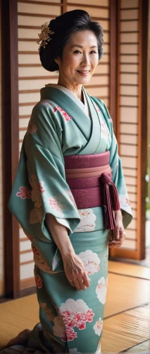 japanese woman,geiko,maiko,kikkawa,rakugo,harumafuji,tea ceremony,komachi,tamiko,hakama,geisha,ninagawa,wakanosato,omotoyossi,yukiyo,shintoism,hisako,japanese culture,geisha girl,kamiizumi,Art,Classical Oil Painting,Classical Oil Painting 16