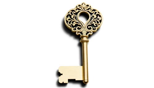 house key,skeleton key,door key,house keys,violin key,door knocker,smart key,key mixed,ignition key,key,key hole,escutcheon,bicycle lock key,map pin,keys,airbnb icon,ankh,key ring,symbol of good luck,car key,Illustration,Realistic Fantasy,Realistic Fantasy 02