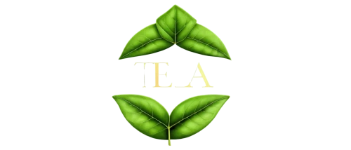 leaf background,laa,aaaa,spring leaf background,lendingtree,aaa,leaf green,leafcutter,green leaf,growth icon,tree leaf,leaf icons,la,green wallpaper,tea leaf,leaflike,tli,lsa,leafed,bigleaf,Illustration,Realistic Fantasy,Realistic Fantasy 29