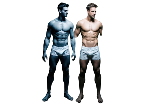 polykleitos,derivable,bodies,anthropometry,homography,torsos,musclemen,fischerspooner,male poses for drawing,satyrs,loincloths,anthropometric,image manipulation,shapeshifters,fauns,human body,anatomies,greek gods figures,muscularity,mannequins,Illustration,Vector,Vector 14