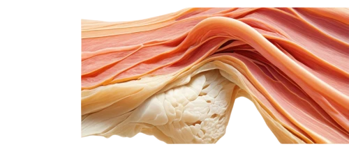 layer nougat,crepe paper,gradient mesh,fibrocartilage,peels,salmon pink,abstract background,laminations,onion peels,nougat,clastic,generative,accretionary,collagen,calcite,peeled,veining,deformations,surfaces,multilayer,Illustration,Retro,Retro 03