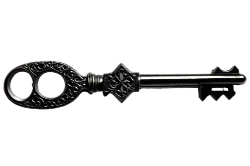 skeleton key,door key,house key,key mixed,bicycle lock key,house keys,violin key,key,ignition key,door knocker,smart key,key ring,key hole,keys,key-hole captain,car key,keyring,iron door,door lock,car keys,Illustration,Vector,Vector 20