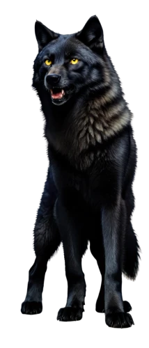 melanism,purgatoire,tiger png,felidae,werewolve,binturong,civet,vnaf,tanuki,wolpaw,barghuti,molossus,atunyote,bagheera,miqdad,civets,treschow,rakshasa,killorin,tezcatlipoca,Photography,Artistic Photography,Artistic Photography 13