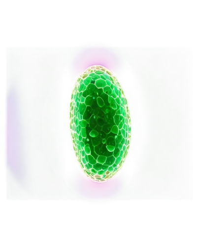 spheroids,biosamples icon,ovule,cell,chloropaschia,nucleolus,globule,vacuole,nucleolar,liposome,oocyte,peroxisomes,liposomes,orb,eukaryote,microvilli,prophase,prokaryote,nucleoli,toroid,Art,Artistic Painting,Artistic Painting 50