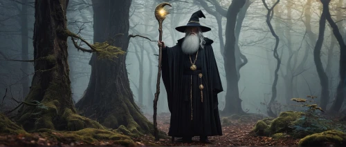 witchfinder,raistlin,wizard,radagast,sorcerer,triwizard,mirkwood,the witch,the wizard,conjurer,gandalf,wiccan,magick,crone,witching,bewitching,thranduil,wiccans,bewitch,wodrow,Conceptual Art,Fantasy,Fantasy 11