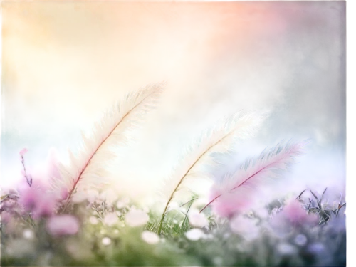 meadow in pastel,flower background,flower painting,watercolor floral background,dandelion background,floral digital background,spring background,watercolor background,springtime background,flower meadow,cotton grass,pink grass,flowering meadow,blooming grass,floral background,meadow flowers,blooming field,watercolour flowers,summer meadow,watercolor flowers,Art,Classical Oil Painting,Classical Oil Painting 39