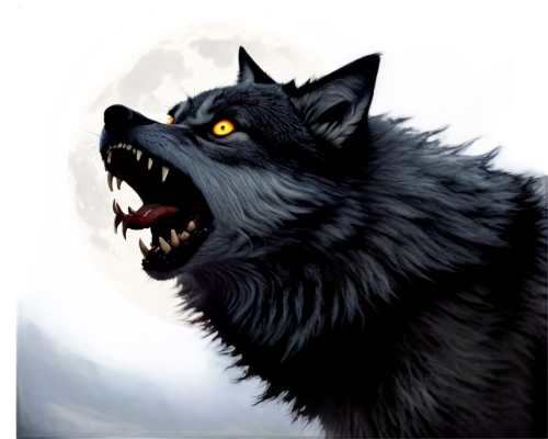 werewolve,blackwolf,werewolf,werewolves,werwolf,howling wolf,lycanthropy,lycan,fenrir,lycanthrope,wolfsangel,wolfen,loup,wolf,gray wolf,lycanthropes,wolfes,barghest,wolfed,lobo,Illustration,Realistic Fantasy,Realistic Fantasy 29