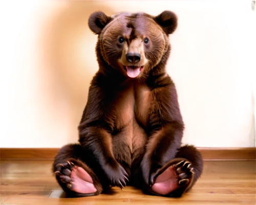 bearlike,bearish,bear,scandia bear,cute bear,great bear,bear market,bearmanor,bearup,forebear,brown bear,bebearia,bearshare,bearse,bear bow,ateles,nordic bear,bearishness,ursine,ursa,Illustration,Realistic Fantasy,Realistic Fantasy 37