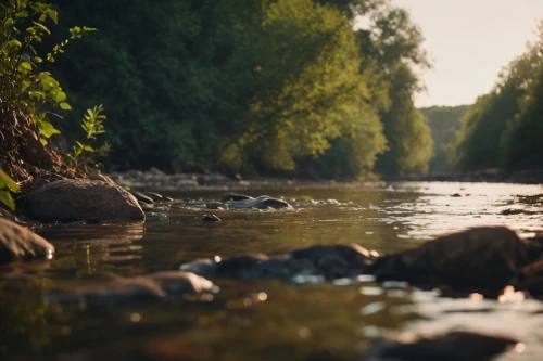 a river,river landscape,isar,streamside,river bank,river,riverrun,upriver,riverbeds,riverbank,jordan river,holy river,waterway,riparian,the source of the danube,riverbed,streambank,flowing creek,riverine,clear stream,Photography,General,Cinematic