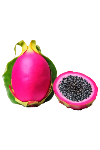 pitaya,pitahaya,dragon fruit,pitahaja,pomegranate,syzygium,amaranth,podded,framboise,bombacaceae,fruit capsule,kacang,melony,rose fruit,melone,isolated product image,guava,marberry,magenta,seedpod,Art,Classical Oil Painting,Classical Oil Painting 03