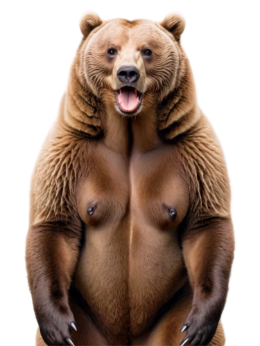 bearlike,nordic bear,bear,bearman,bearse,ursus,bearup,bearss,bearmanor,brown bear,bearshare,ursine,bear teddy,cute bear,great bear,bearhart,bearish,orso,bearishness,3d teddy,Photography,General,Natural