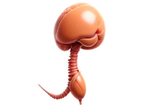 duodenal,pylori,appendectomies,appendix,intrauterine,menorrhagia,chorionic,azoospermia,beglarian,umbilical,intussusception,amniotic,embryological,ureter,ileus,haemophilus,diverticula,blastula,uteri,embryogenesis,Conceptual Art,Daily,Daily 02
