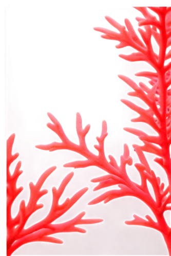 underwater background,deep coral,soft coral,coral,gorgonian,red tree,soft corals,macroalgae,semiaquatic,paphlagonian,christmasbackground,coral bush,krill,bubblegum coral,corals,corail,red background,coral fish,coral red,redd,Illustration,Black and White,Black and White 23