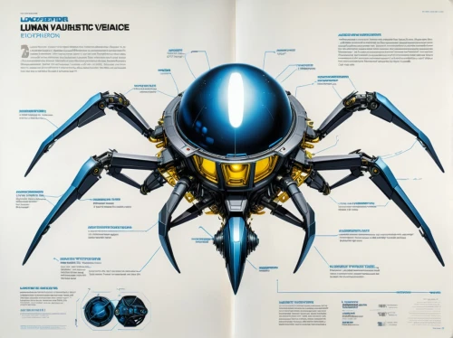 insectoid,webcrawler,yellowjacket,giant spider,diadem spider,anansi,oscorp,umbarger,limbatus,spinnerets,scarab,arthropod,blue-winged wasteland insect,arthropods,arthropoda,insectorum,airachnid,drone bee,vector infographic,parasitoid,Unique,Design,Infographics